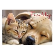  Plastová obálka s drukem, A4 "Frienship"