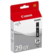 Cartridge PGI-29GY