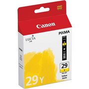 Cartridge PGI-29Y