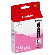 Cartridge PGI-29PM