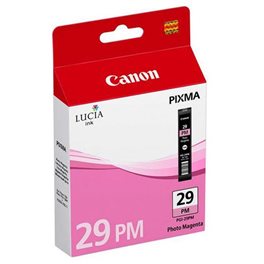 Cartridge PGI-29PM