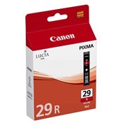 Cartridge PGI-29R